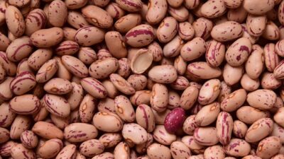 beans, quail beans, legumes-1756589.jpg